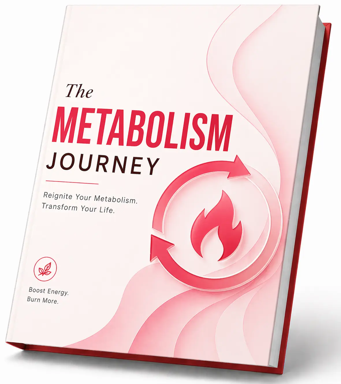 The Metabolism Journey guide